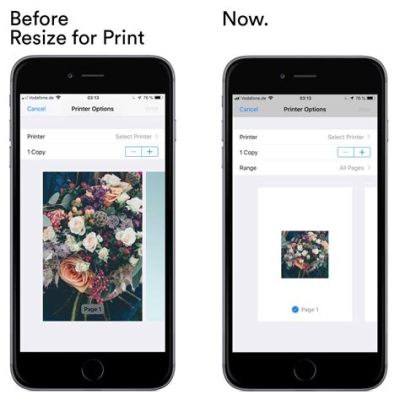 how to print a picture smaller from iphone: exploring the various methods of image resizing